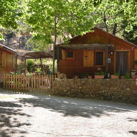 Cabanas Camping Sierra De Penascosa Eksteriør billede